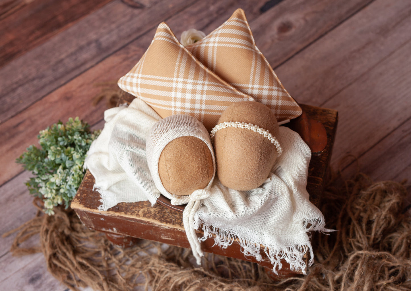 Cameron in Cream- 3 piece set with FREE HALO!