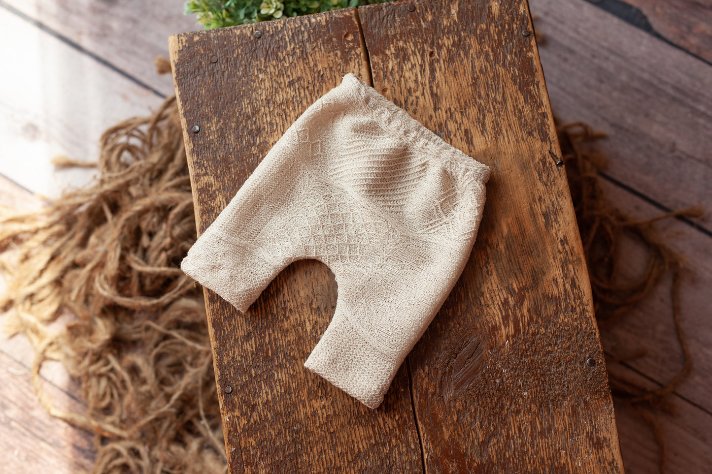 Oakley - Newborn shorties