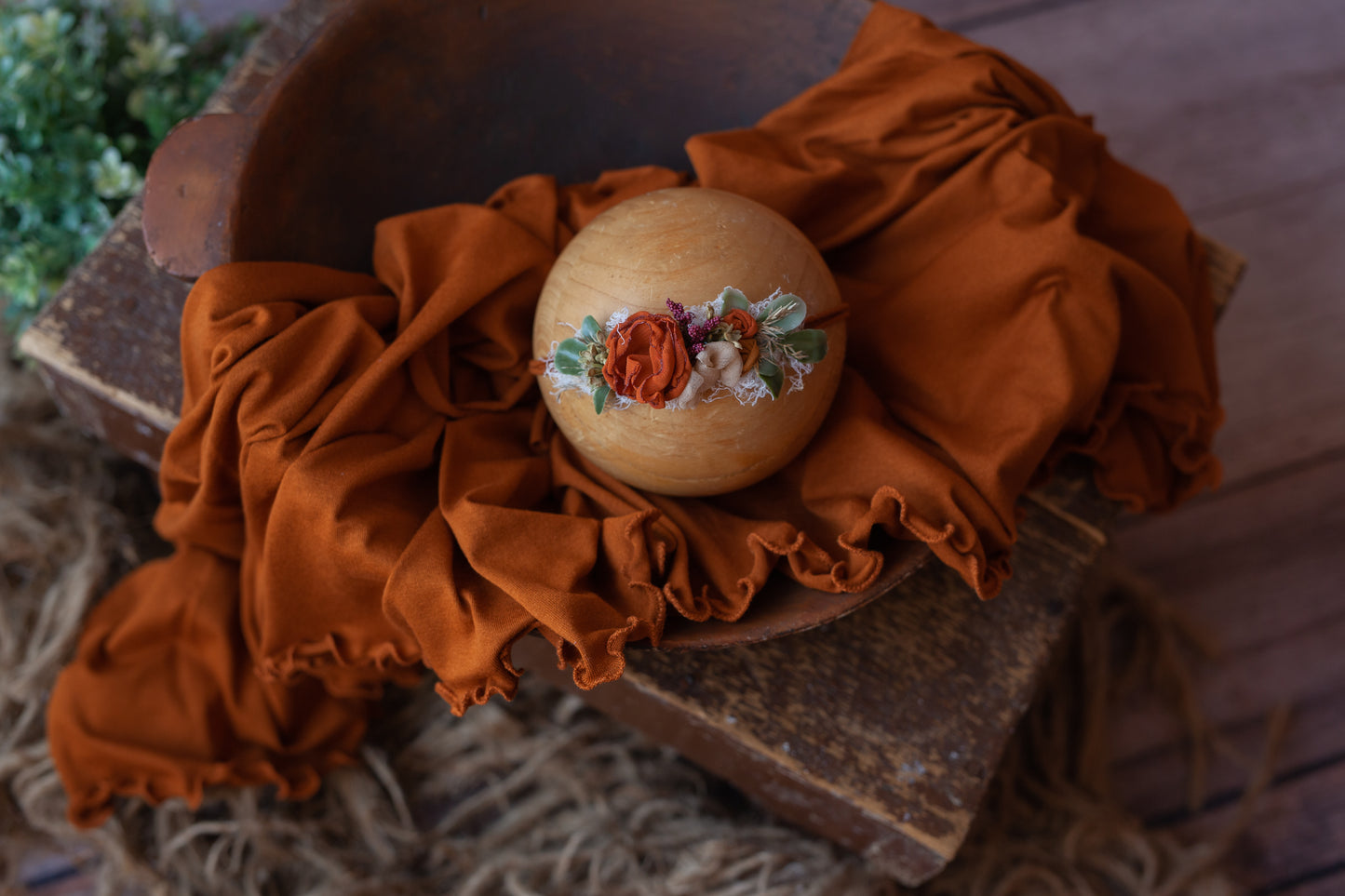 Pumpkin Pie - Curly Wrap and Tieback