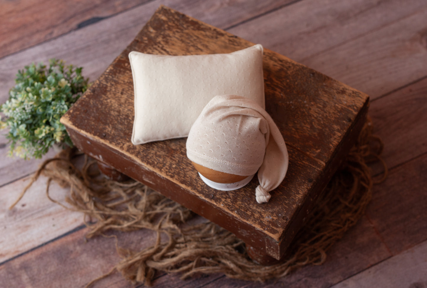Neutral Double Sided Pillow and Sleepy Cap