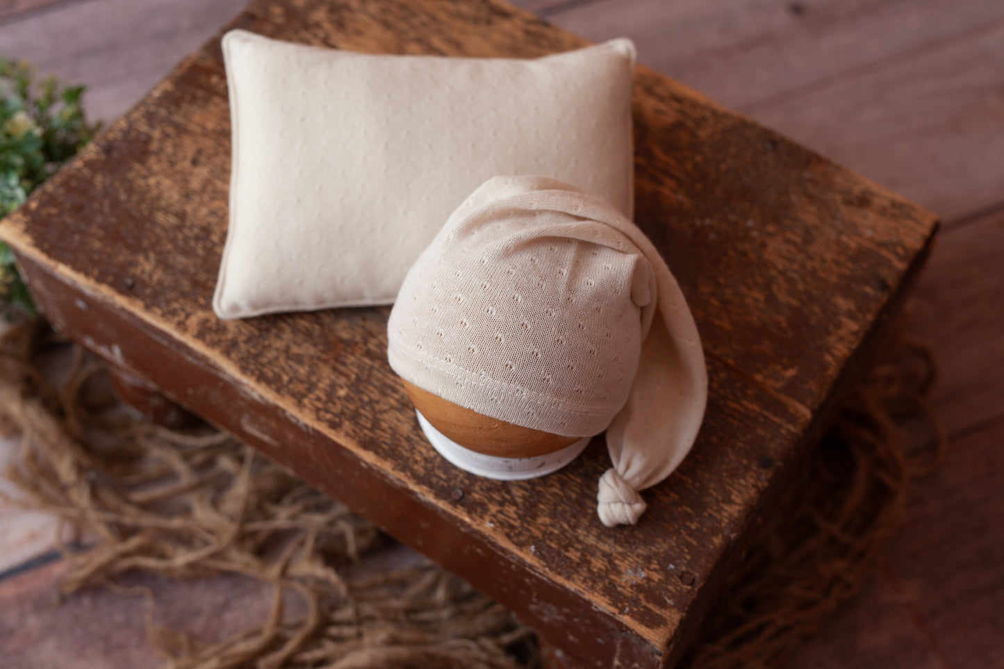 Neutral Double Sided Pillow and Sleepy Cap