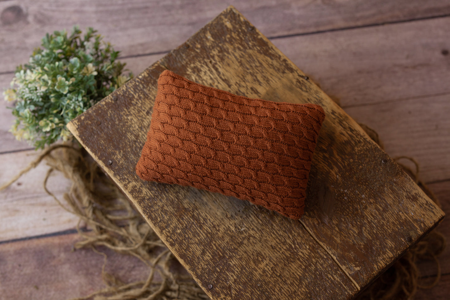 Rust Double Sided Pillow