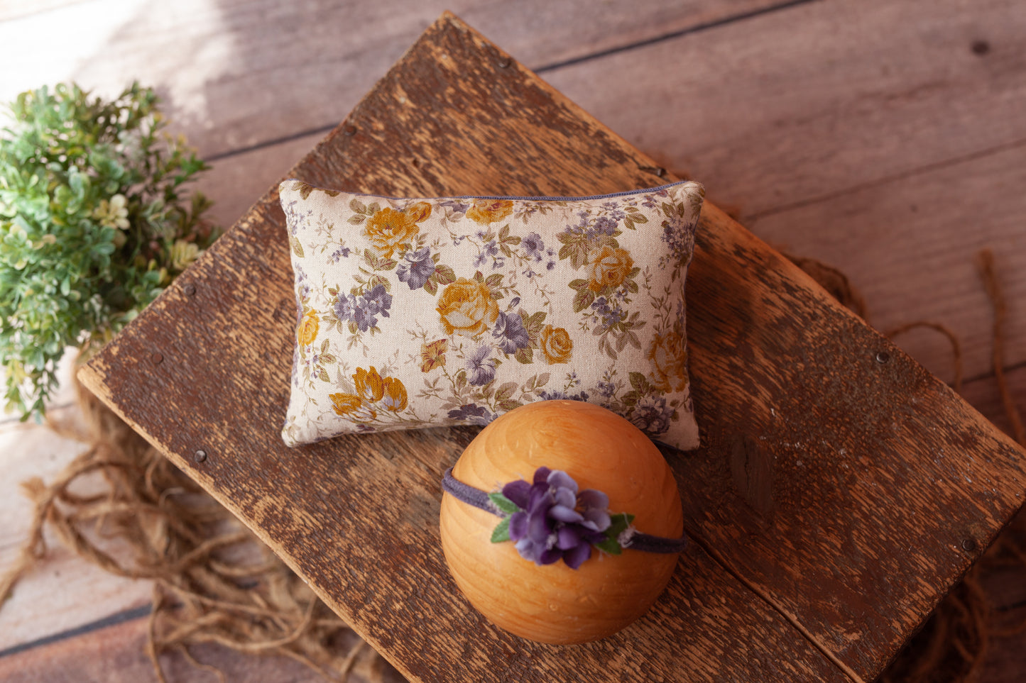 Pillow and Tieback (set #14)