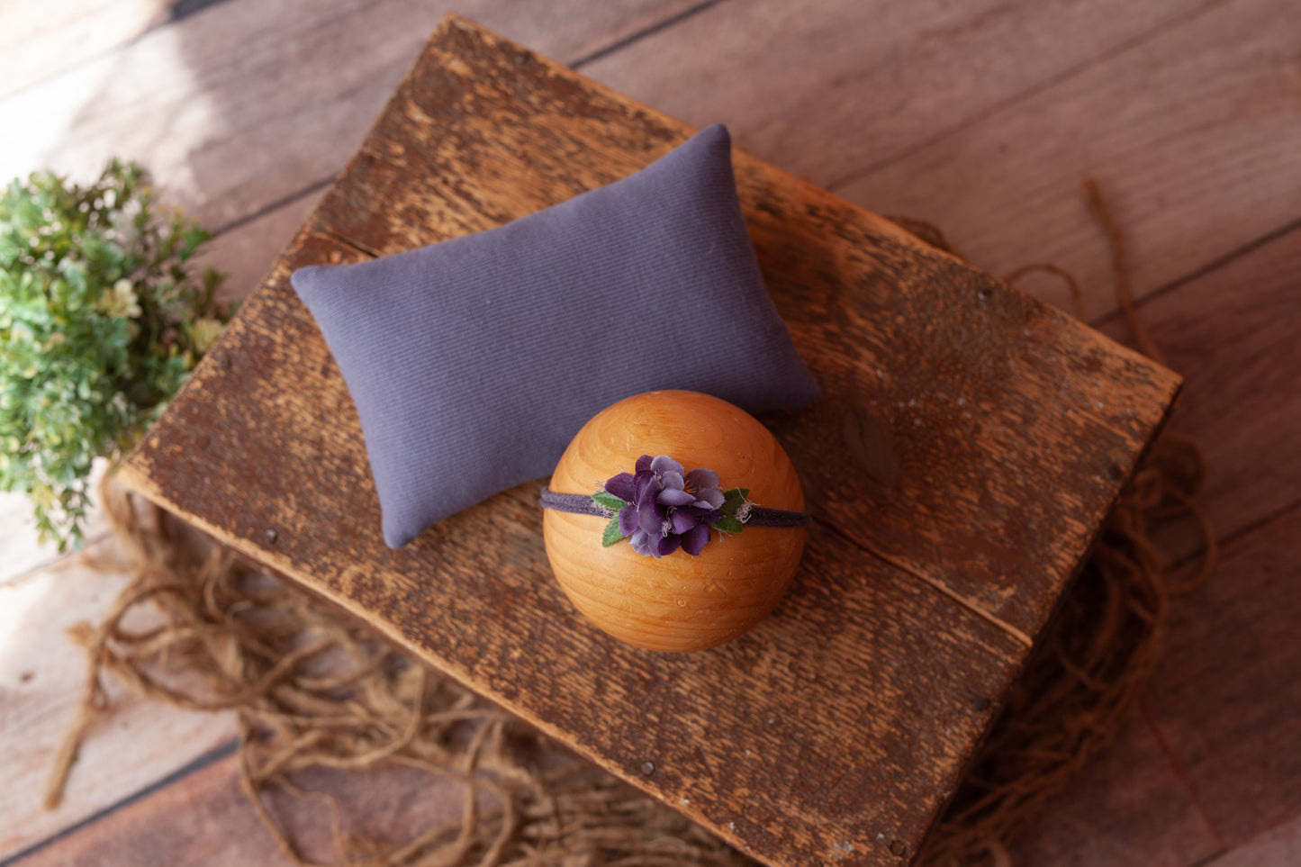 Pillow and Tieback (set #14)