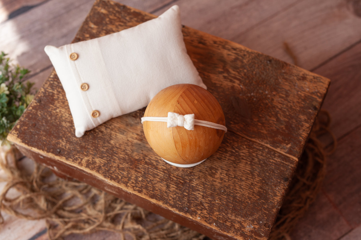Pillow and Tieback (set #15)