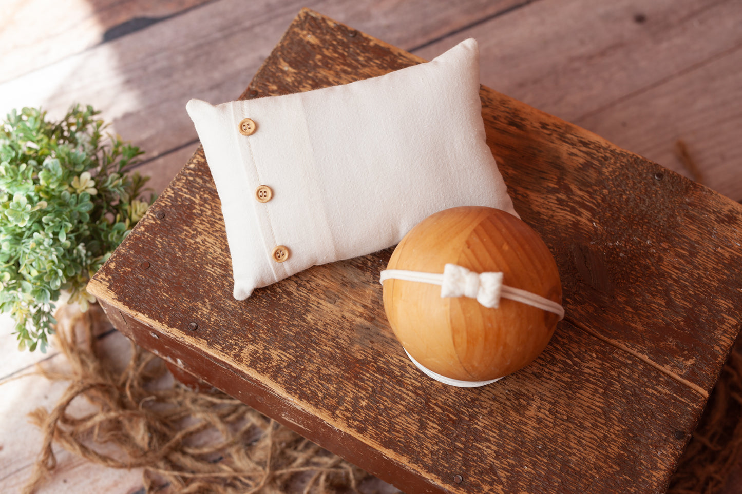 Pillow and Tieback (set #15)