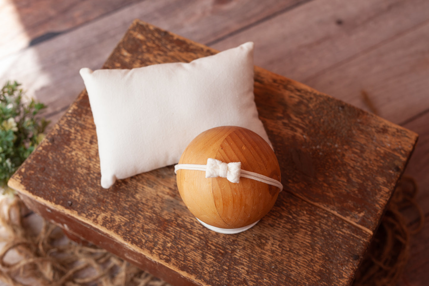 Pillow and Tieback (set #15)
