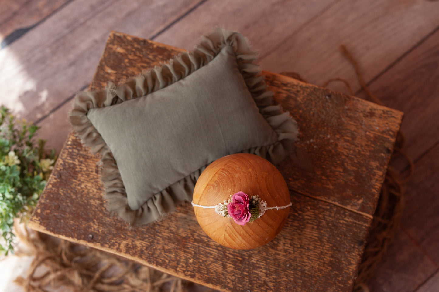 Pillow and Tieback (set #16)