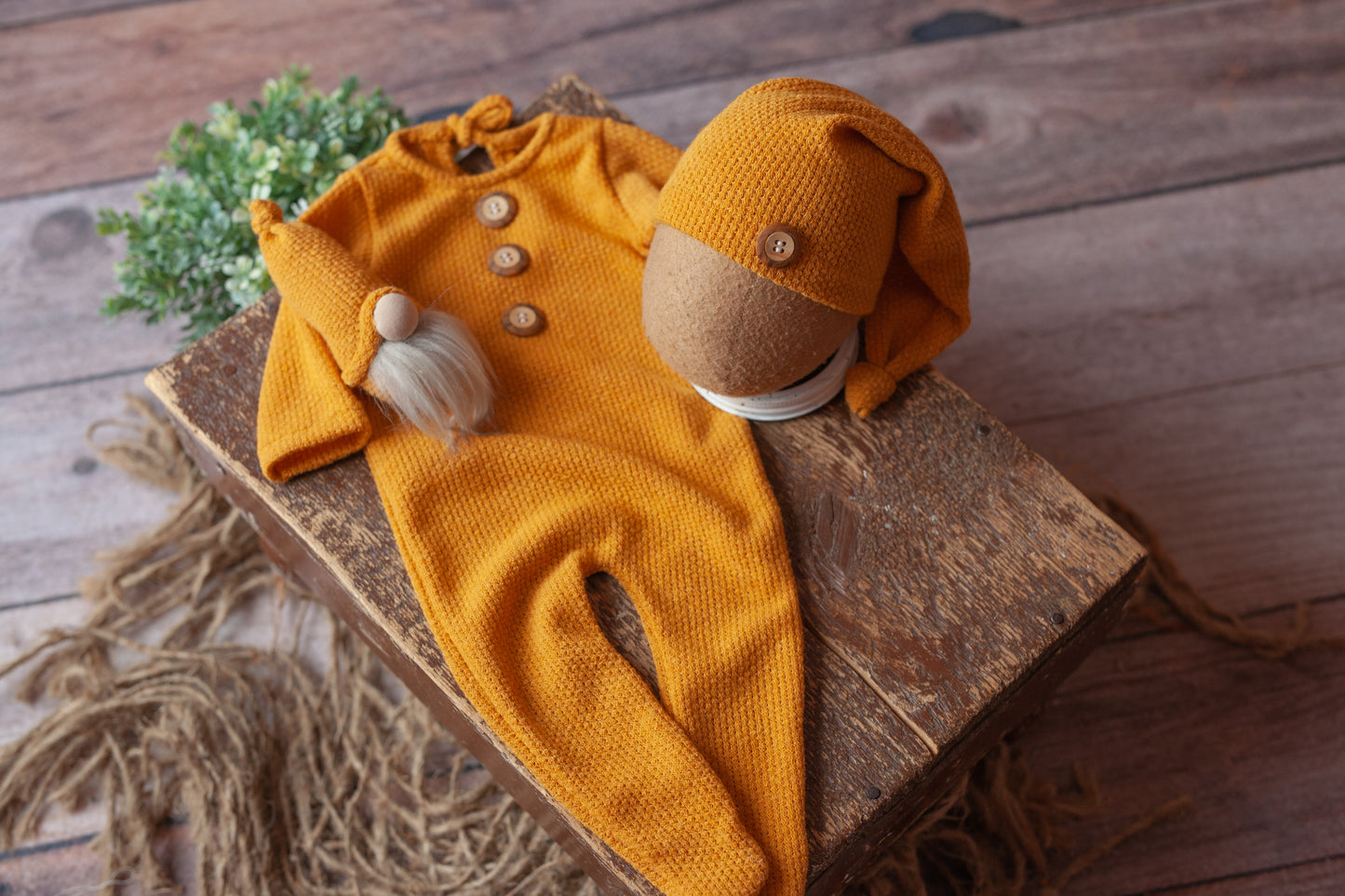 Sassafras - 4 piece set