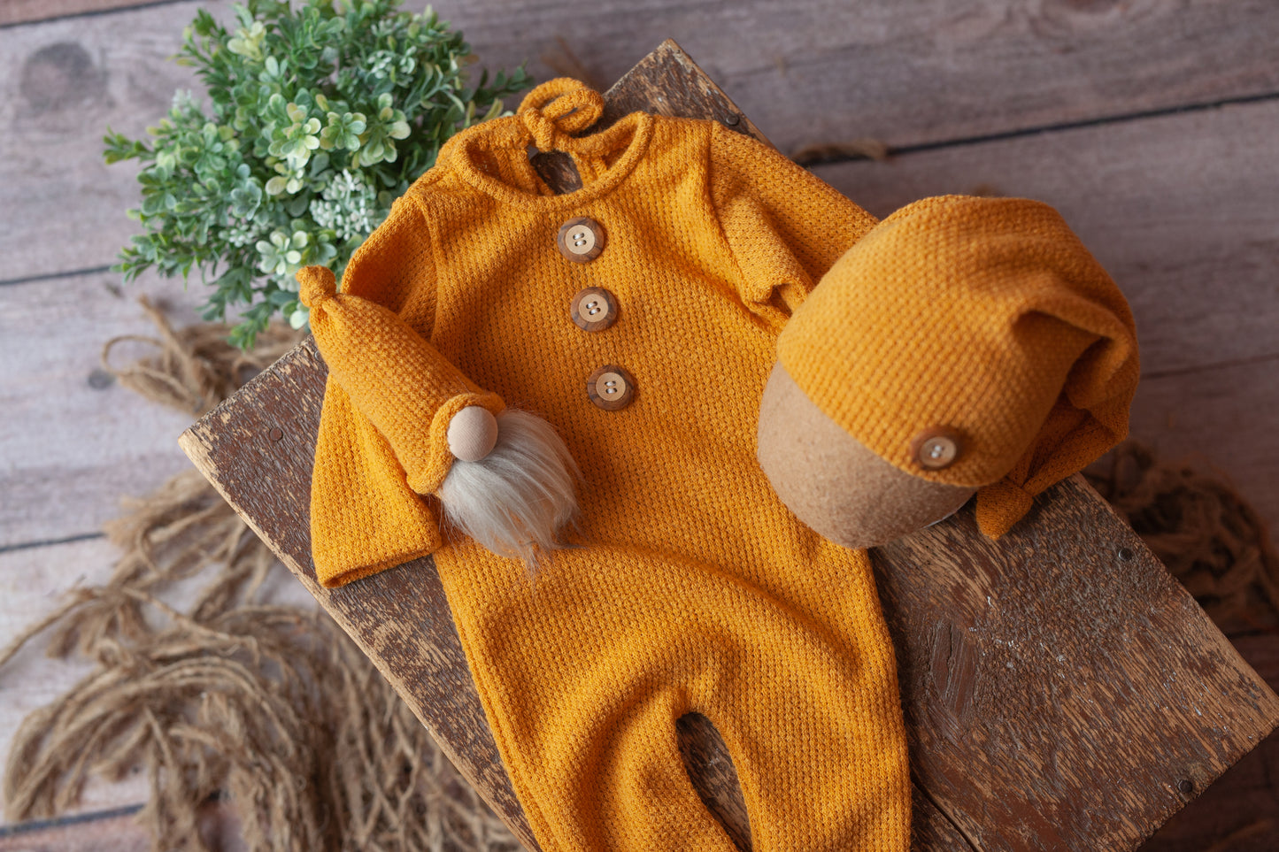 Sassafras - 4 piece set