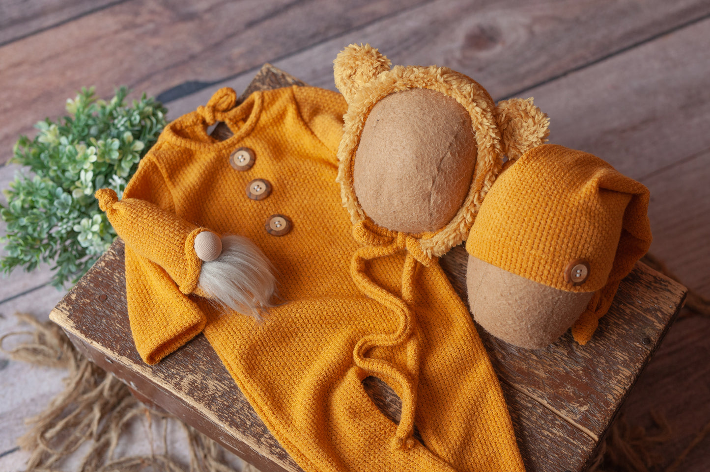 Sassafras - 4 piece set