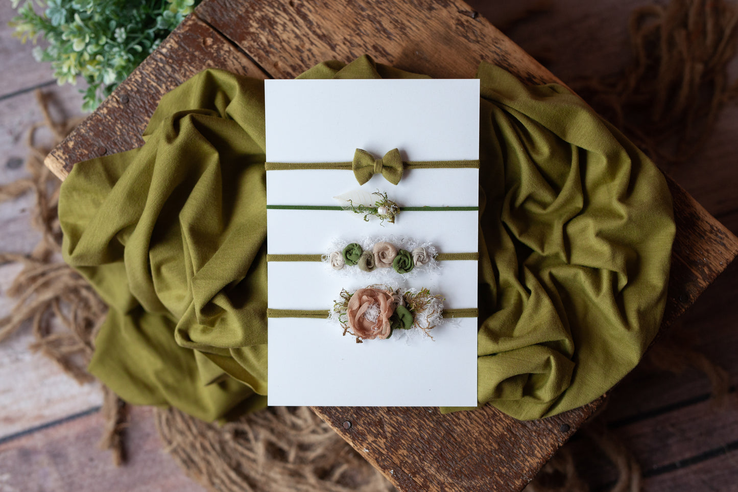 Avocado Toast - 5 piece set
