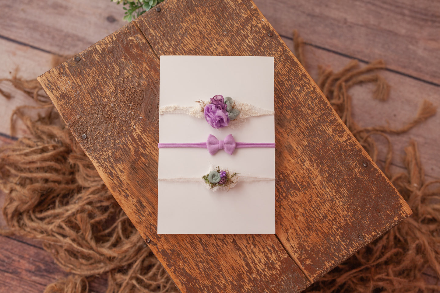 Three purple tieback FREE SHIPPING!