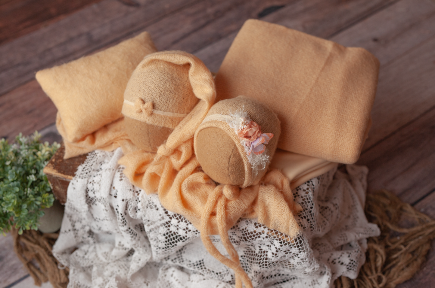 Creamsicle - Soft and Fuzzy Set