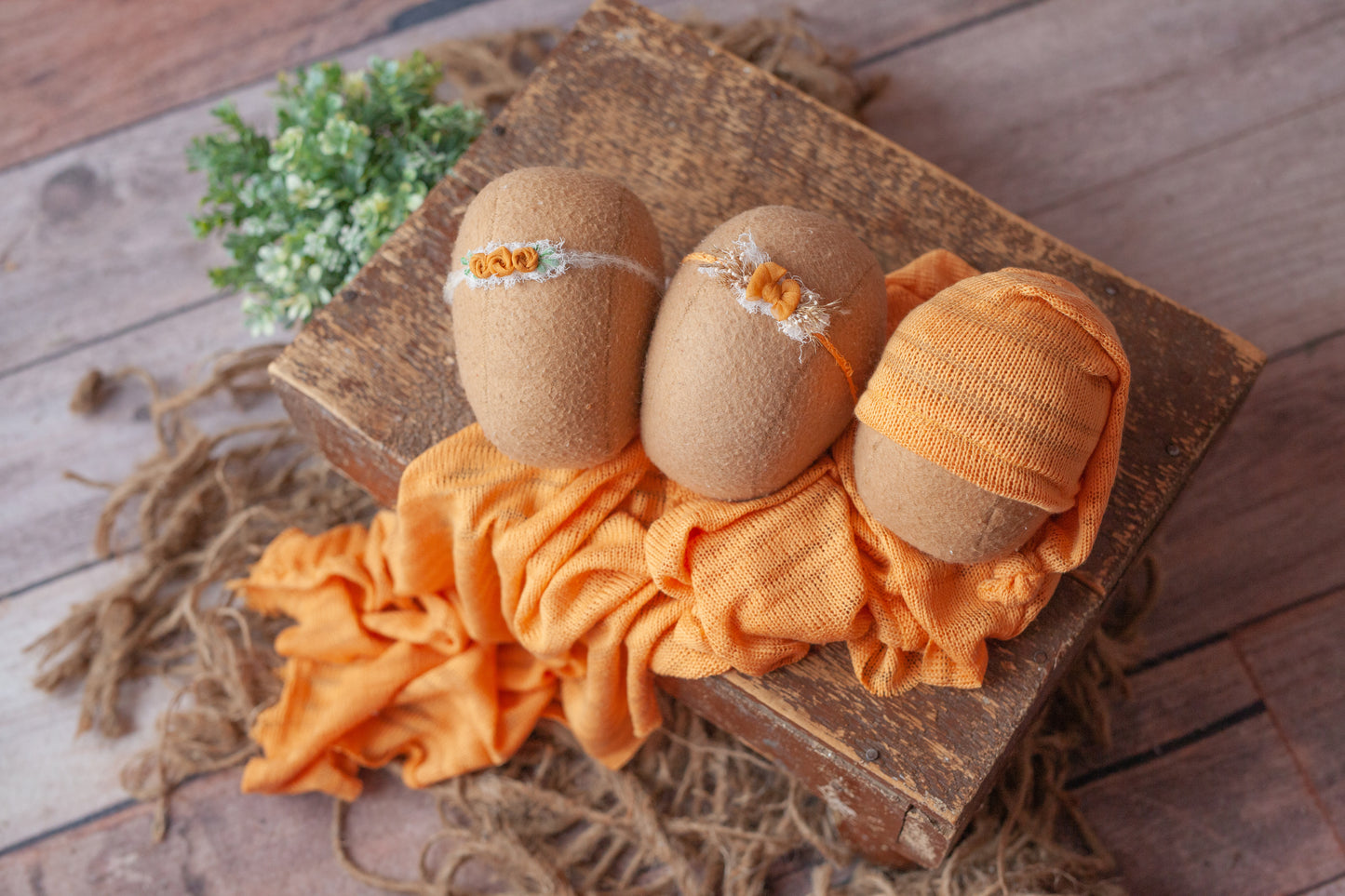Clementine -NB Sleepy Cap only