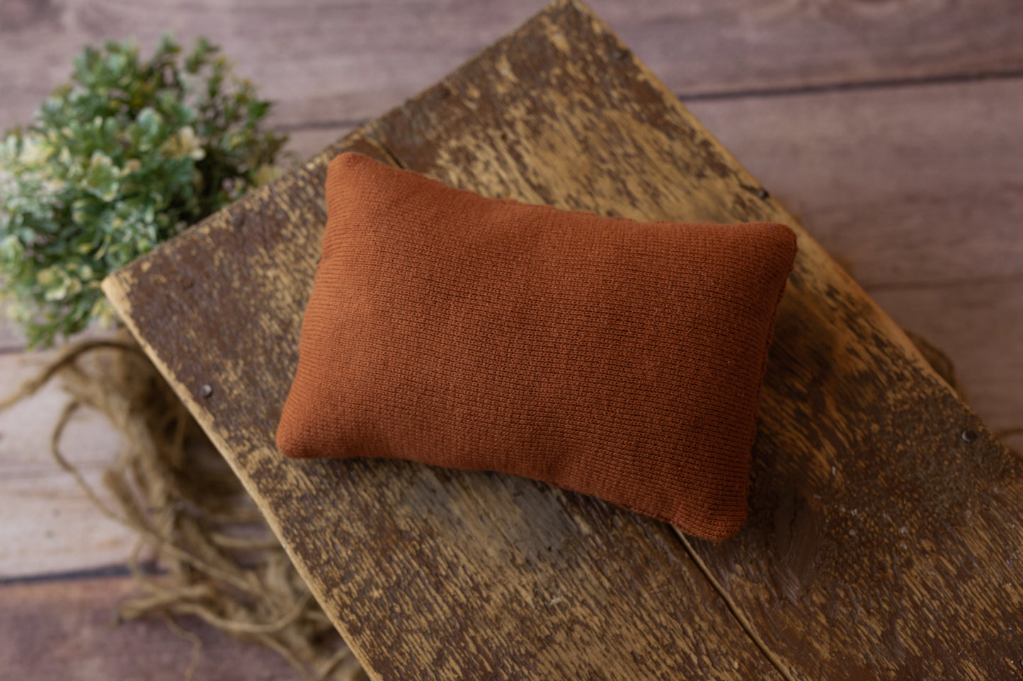 Rust Double Sided Pillow