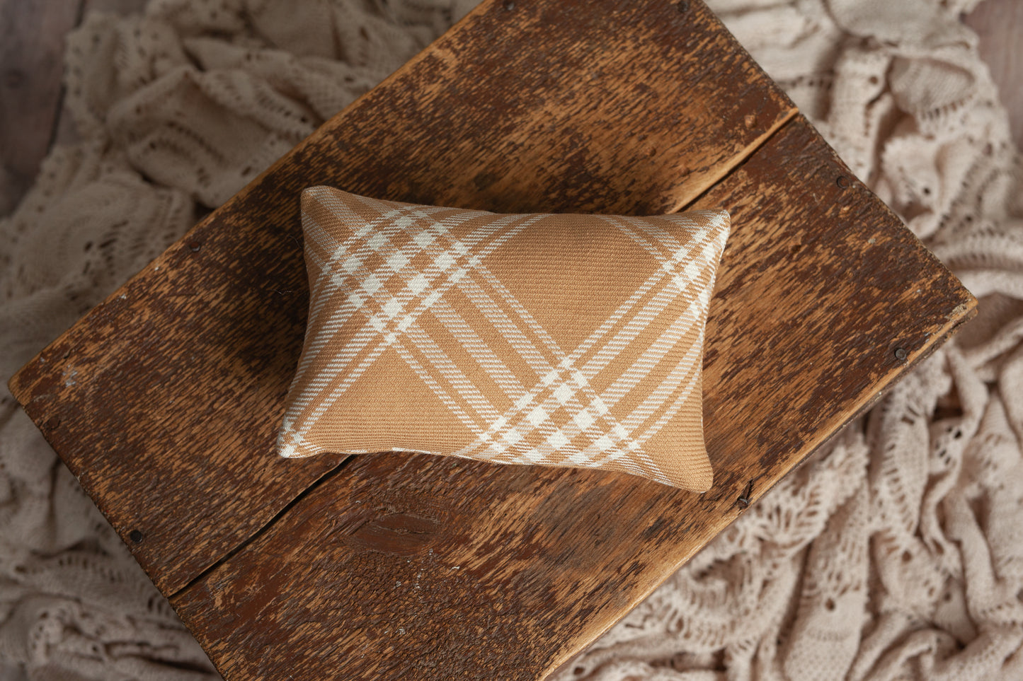Pillow #24