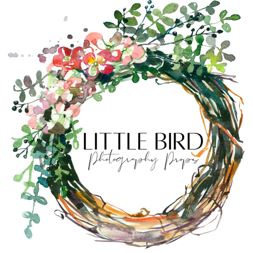 Little Bird Photography Props