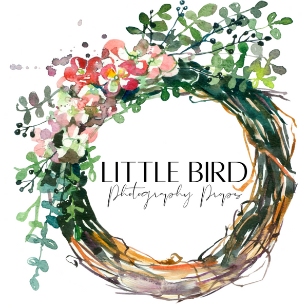 Little Bird Photography Props